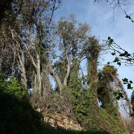 Mercouri Stone * Korakochori