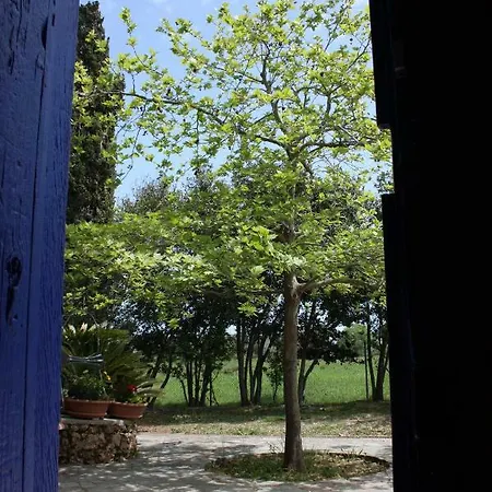 Mercouri Stone Holiday home *