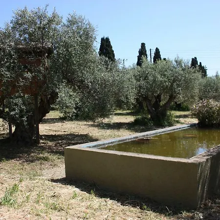 Mercouri Stone * Korakochori