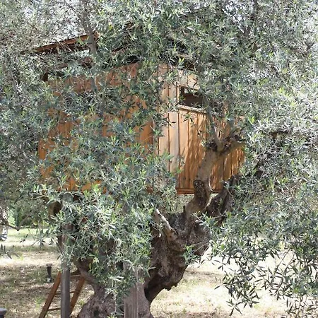 Mercouri Stone Korakochori