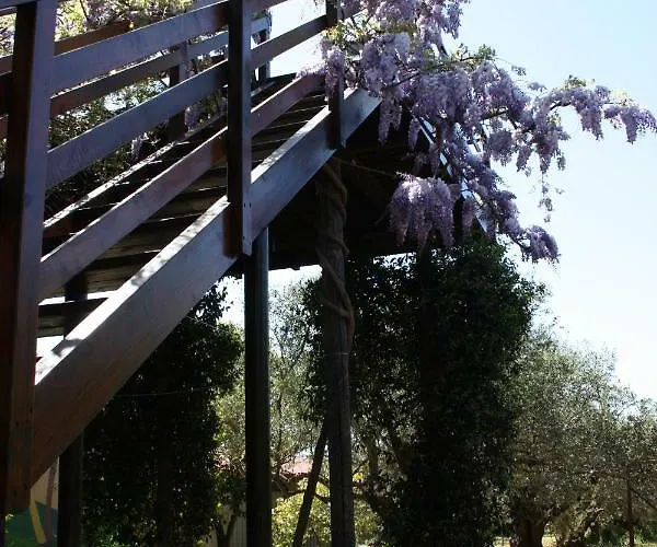 Mercouri Stone * Korakohóri