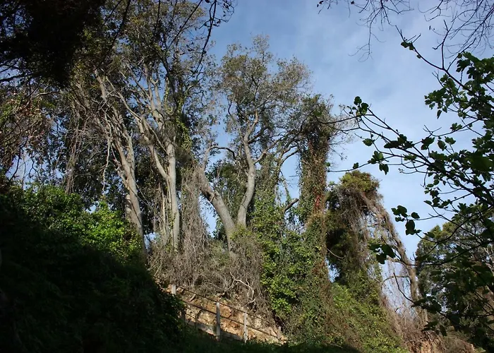 Mercouri Stone * Korakohóri