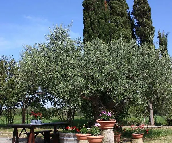 Mercouri Stone بيت للعطل *