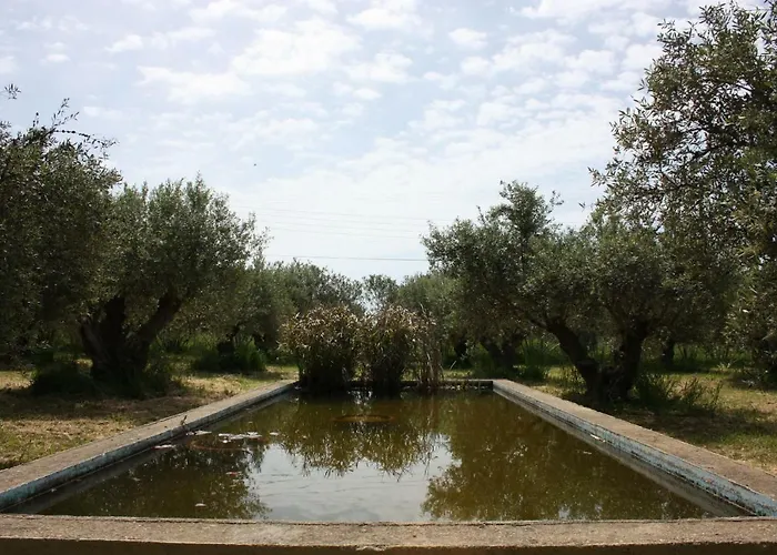 Nyaraló Mercouri Stone *